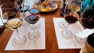 Weinprobe und Führung bei Bodegas Nabal