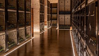 Tour della tenuta con degustazione di vini: 4 vini e 2 oli d'oliva