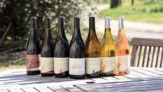 Cata de vinos y visita guiada en Domaine Galevan