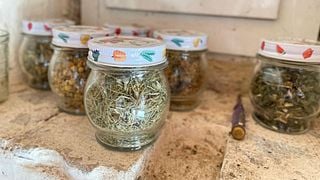 Deep Dive Bordeaux Biologisch und biodynamisch
