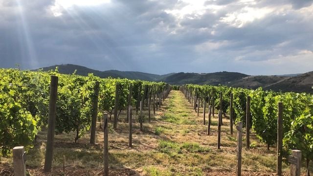 Domaine Du Mont Verrier