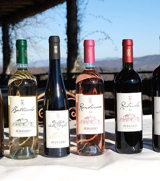 Déjeuner/Dîner gastronomique aux caves de Pomario