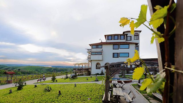 Seven Generations Winery