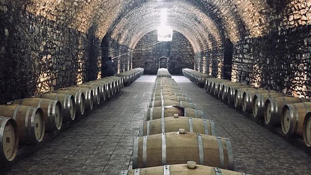 Tour del vino e degustazione presso l'azienda vinicola Goygol