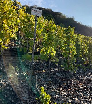 Cata de vinos en la bodega Jean Stodden