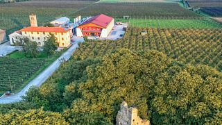 Circuit des vins de Bellussera