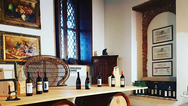 Dégustation de vins et visite à la Casa Comerci