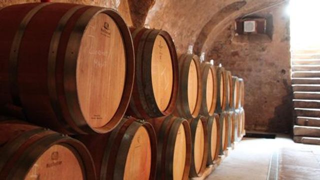Vinprovning och rundtur på Weingut Arnold