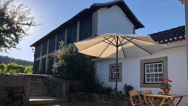 Cata de vinos y visita guiada en Turra Wines