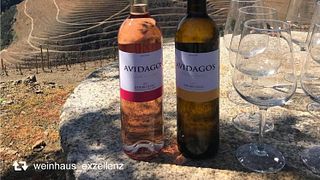 Dégustation de vins et visite à Quinta dos Avidagos