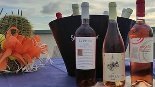 Feudi Di Guagnano Winery