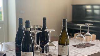 Verkostung, Führung und intelligentes Mittagessen | Tenuta Santo Spirito