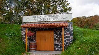 Explore os segredos da produção de vinho de frutas na Estônia | Vinícola Uue-Saaluse
