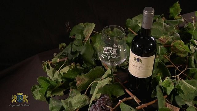 Degustazione di vini e tour presso Caparra & Siciliani
