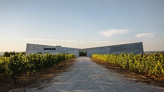Dão & Lafões: Wine Tour, Tasting & Local Lunch