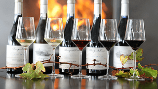 Erstklassiges Weinverkostungserlebnis im Weingut Benguela Cove