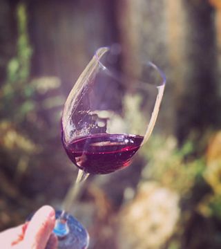 Vinprovning och rundtur på Bodegas Belote