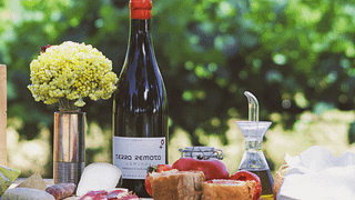 Wine Picnic at Terra Remota in Catalonia
