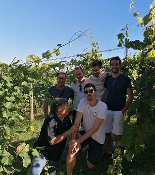 Visita guiada à adega e vinhedo Collamatese com degustação