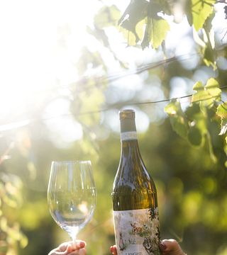 Langhe Upptäck Borgogno-familjens viner