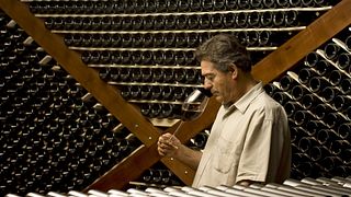 Dégustation de vins et visite de la cave Otero Ramos