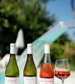 Cata premium en la bodega Chiorri