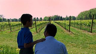 Weinprobe und Tour in der Villa Vitas