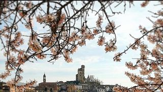 Ca' Rome': A Family Legacy in Piedmont