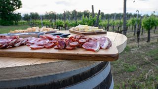 Tasting in the Cellar with food and wine pairings 