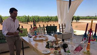 Wine tasting and tour at Bodega Y Viñedos Martín Berdugo