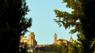 Cata de vinos y visita guiada a la bodega Cimarelli