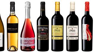 South West France: Cahors Wine Legacy & Vintage Tasting