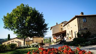 Tuscan Organic Wine & Olive Oil Tasting Tour