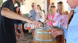 Quinta dos Vales: tour, produzione di vino, degustazione di 4 vini