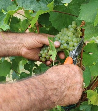 Tour Franciacorta