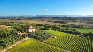 Tenuta Il Sosso
