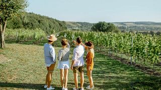Tour di degustazione di vini a Kusadasi dal porto