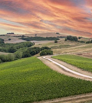 Degustação de Vinhos Essenza