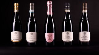 Explore Piedmont Wines: Bersano Langhe & Monferrato Tasting