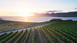 Safari con degustazione di vini nel vigneto a Benguela Cove