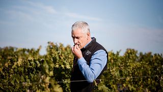 Wine Tasting Experience at Château Kirwan