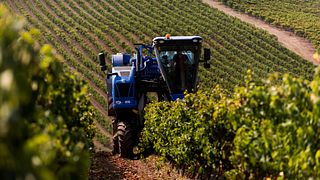 Degustazione di vini portoghesi a Quinta Da Almiara