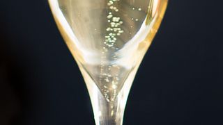 Cata de champán atípico y poco común en Champagne Roger-Constant Lemaire