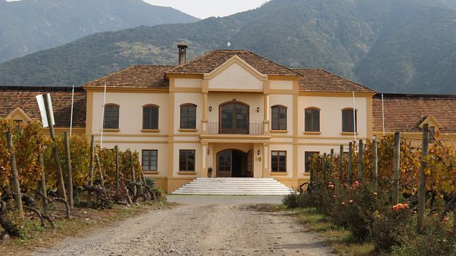 Degustazione avanzata e tour a Viña Koyle