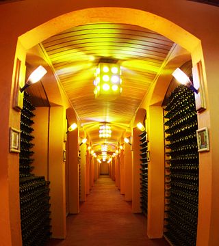 Discover Others: Dezem's Sustainable Wine Journey