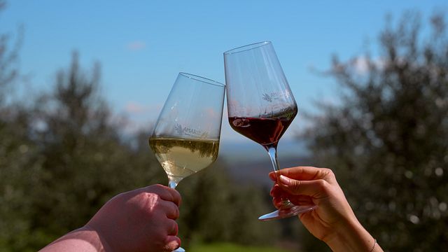 Vin- och olivoljaprovning på Amarsi