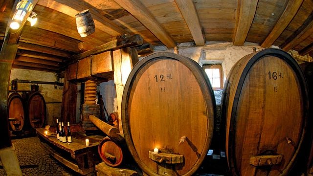Degustazione di vini e tour a Francois Baur