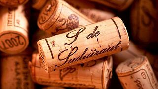 Upptäck aromerna av Sauternes på Château Suduiraut