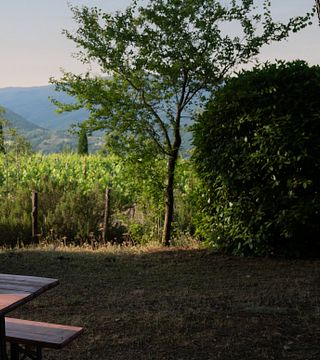 "Piquenique Toscano" em Buccia Nera