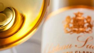 Entdecken Sie die Aromen von Sauternes im Château Suduiraut